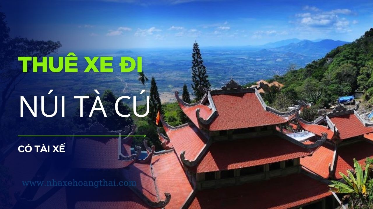 Tài xế chuyên nghiệp đứng cạnh xe du lịch đời mới. Dịch vụ thuê xe đi Núi Tà Cú có tài xế phục vụ hành hương, cam kết an toàn tuyệt đối và thông thạo tuyến đường ven biển và đường lên núi.