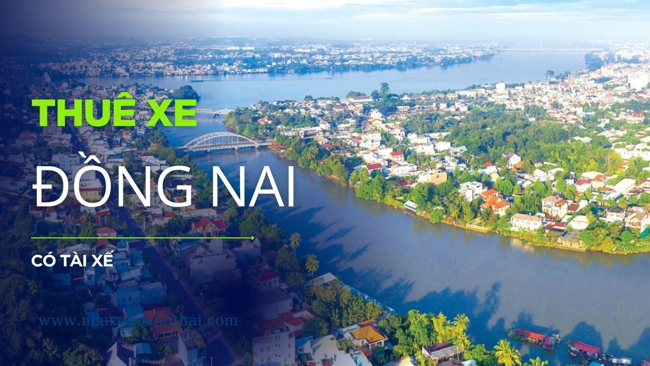 Tài xế chuyên nghiệp đứng cạnh xe du lịch đời mới. Dịch vụ thuê xe đi Đồng Nai có tài xế phục vụ công tác, cam kết đúng giờ, kín đáo và thông thạo các khu công nghiệp.